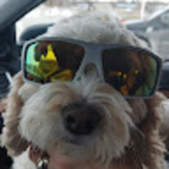 Meet your Posher, Jennifer - Picture 1 of 1